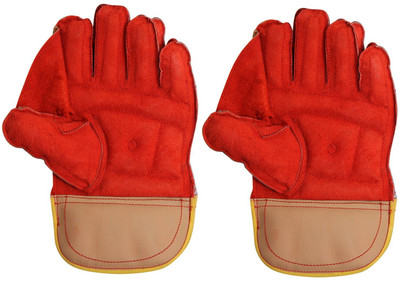 Etahmart Keeping Gloves, Premium Leather for Palm for Easy Grip,_ Wicket Keeping Gloves(Multicolor)