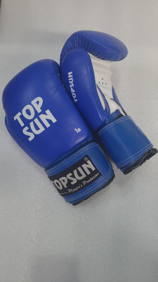 Topsun T101 Boxing Gloves(Blue)