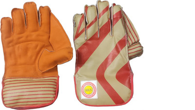 Garg Enterprises WICKET KEEPING RUBBER MOLDED GLOVES Wicket Keeping Gloves(Multicolor)