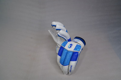 Cricketkingdom CK ACADEMY RH GLOVES FOR BEGINNERS Batting Gloves(White, Blue)