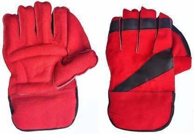 Etahmart aer123_ Wicket Keeping Gloves(Multicolor)