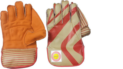 Garg Enterprises WICKET KEEPING RUBBER MOLDED GLOVES Wicket Keeping Gloves(Multicolor)