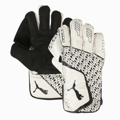 PUMA Future 3.0 Wicket Keeping Gloves(White, Black)