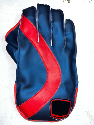 SVS SS Lite Youth Size Wicket Keeping Gloves(Blue)