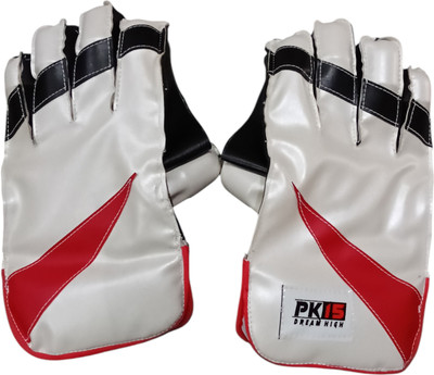 SSG Premium Wicket Keeping Gloves – Adult Size Wicket Keeping Gloves(Multicolor)