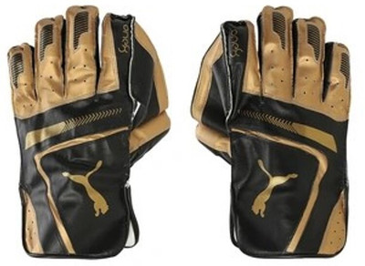 PUMA ONE8-2.5 Wicket Keeping Gloves(Black, Gold)