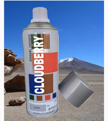 Cloudberry Gloss Finish Silver Spray Paint 400 ml(Pack of 1)