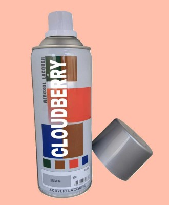 Cloudberry Cube Gloss Finish Silver Spray Paint 400 ml(Pack of 1)