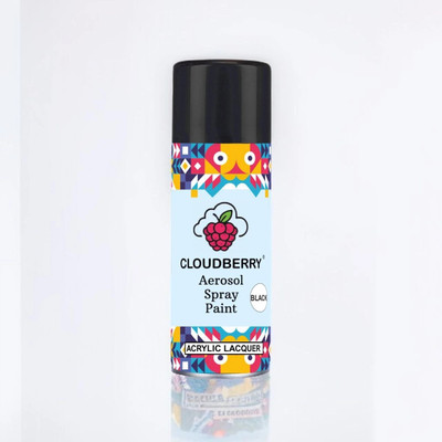 Cloudberry for Car and Bike Black Spray Paint 400 ml(Pack of 1)