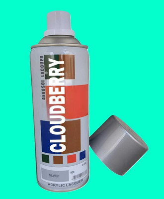 Cloudberry Gloss Finish Silver Spray Paint 400 ml(Pack of 1)