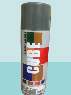 MODAROCK Grey Spray Paint 400 ml(Pack of 1)