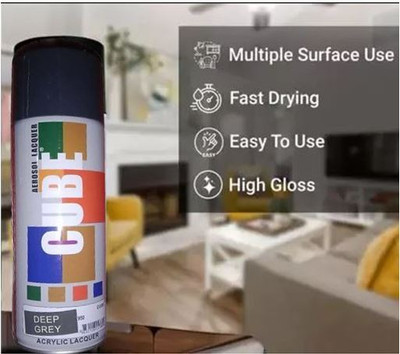CAC'S Grey Spray Paint 400 ml(Pack of 1)