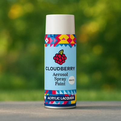 Cloudberry Gloss Finish White Spray Paint 400 ml(Pack of 1)