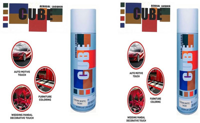CUBE Multicolor Spray Paint 800 ml(Pack of 2)