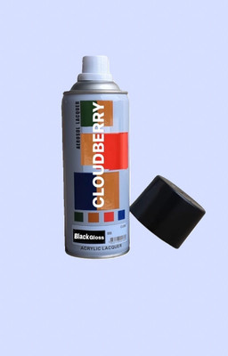 Cloudberry Gloss Finish Black Spray Paint 400 ml(Pack of 1)
