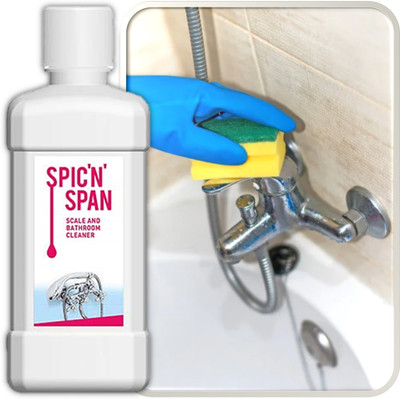 SILVER DIP modicare spic n span 1000 ml Stain Remover