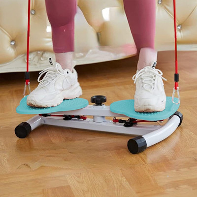 BHAVYATA ENTERPRISE twist ex stepper for home gym-02103 Ab Exerciser(Blue)