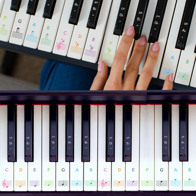 DGSL 1.36 inch Piano Keyboard Sticker For Piano 88 Sticker With 1 Piano Basic Guide For Learn Self Adhesive Sticker(Pack of 1)
