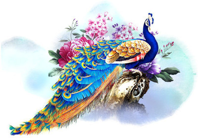 VCREATE DECOR 58 cm Peacock Wall Sticker Self Adhesive Sticker(Pack of 1)