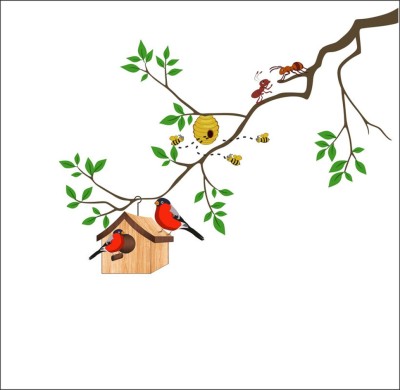 Sahaj Décor 12 inch Birds On A Branch Wall Sticker|Cartoon Birds And Birdshouse Size 15x12 inch Self Adhesive Sticker(Pack of 1)