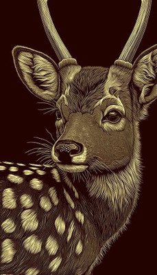 stixly 45 cm NEW2025_Wall Sticker Printed on Vinyl Self-Adhesive for Wall Decoration Self Adhesive Sticker(Pack of 1)