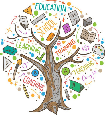 Rangeele 30 cm Tree Kids Learning Education Nursery Wall Sticker (100cm X 100cm 15 cm) Self Adhesive Sticker(Pack of 1)