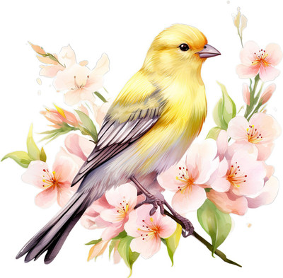 SoFFXia 18 inch Canaries Birds Decorative Wall Sticker for Living Room, Office EDD_WS_16357 Self Adhesive Sticker(Pack of 1)