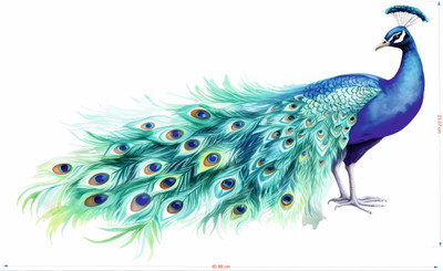 GADIVAAN 10 inch Peacock Wall Sticker,Self-Adhesive, Portrait Orientation, Indoor Wall Decoration Self Adhesive Sticker(Pack of 1)
