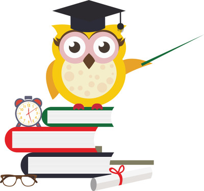 Epithet Studio 58 cm 5 Ace Teacher owl | Self Adhesive Sticker(Pack of 1)