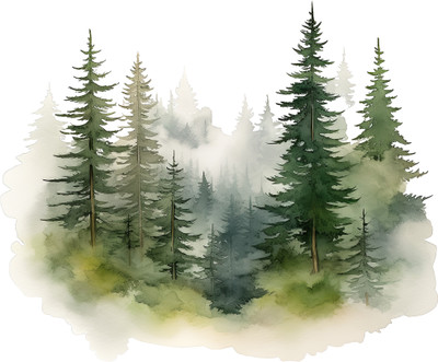 SoFFXia 18 inch Trendy Forests Tree Wall Sticker For Home, Living Room Decoration EDD_WS_18507 Self Adhesive Sticker(Pack of 1)