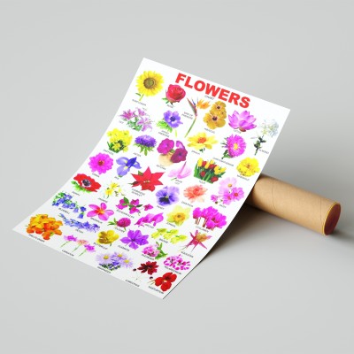TATMODS 45.72 cm Flower Chart Wall Poster Reusable Sticker(Pack of 1)