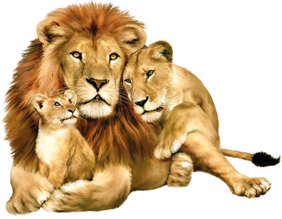 Vijaya enterprises 18 cm Lion With Family Magnetic Sticker (Pack of 1) Self Adhesive Sticker(Pack of 1)