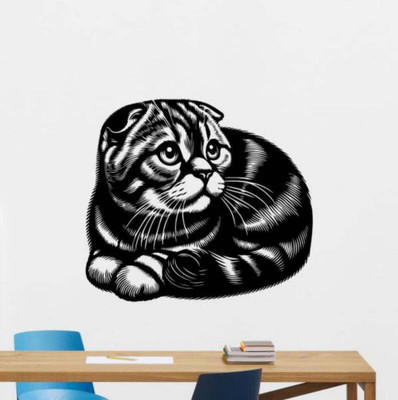 SnappyVinyl 62 cm Scottish Fold Cat Wall Self Adhesive Sticker(Pack of 1)