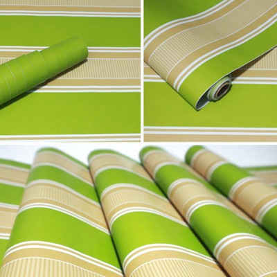 Wallmonks 500 cm Lines & Stripes Green Self Adhesive Sticker(Pack of 1)