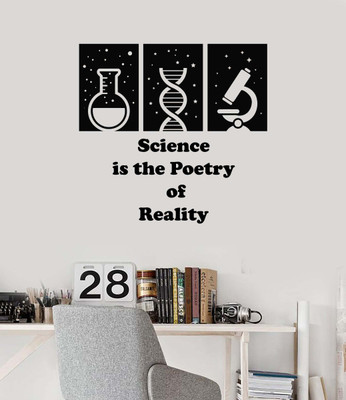 Xskin 27 cm Science Lab Quote School Class Self Adhesive Sticker(Pack of 1)