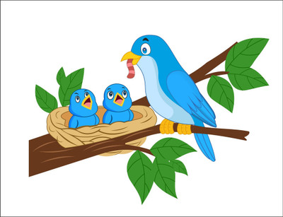 Vijaya enterprises 91 cm Beautiful birds family wall sticker size (91x61 cm) Self Adhesive Sticker(Pack of 1)