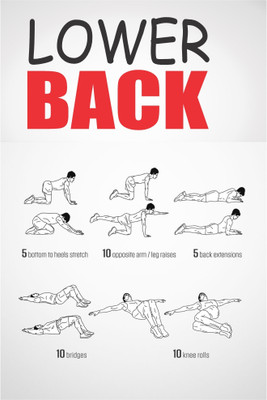 Ordershock 18 inch Wall Poster For Home, School, Office & Other Places Wall Poster 12x18 Inch Self Adhesive Sticker(Pack of 1)