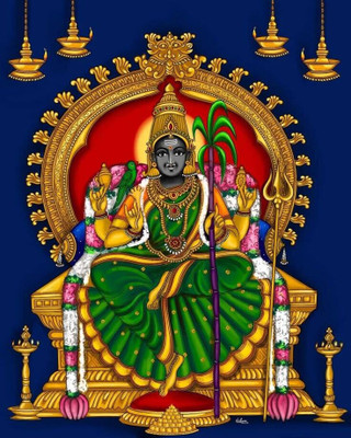 zocket 45 cm PL 69 Self Adhesive Sticker(Pack of 1)