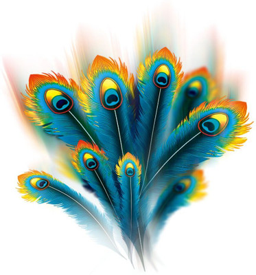 Varadvinayak 45 cm Peacock Feathers 3D Wall Sticker Self Adhesive Sticker(Pack of 1)