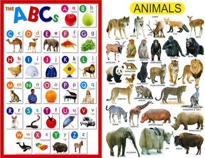 TATMODS 45.72 cm ABCDs with Animals Posters ComboFor School Decor Pack of 2 Reusable Sticker(Pack of 2)