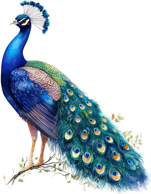 CreativeEdge 61 cm Decorative Bbeautiful Peacock Wall Sticker Self Adhesive Sticker(Pack of 1)