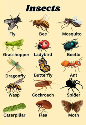 TrendVerse 45 cm Decorative Sticker for Living Room 516 Self Adhesive Sticker(Pack of 1)