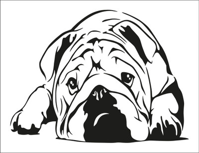 Nimral Decor 49 cm dog is sad beautiful background (91x52cm) Self Adhesive Sticker(Pack of 1)