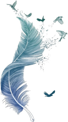 S3DESIGN 51 cm small birds feather Self Adhesive Sticker(Pack of 1)