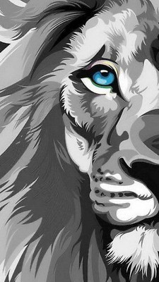 swaroopa 16.5 inch Lion Tiger Animals A3 size non tearable sticker Self Adhesive Sticker(Pack of 1)