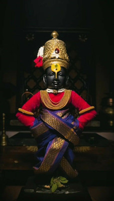 swaroopa 16.5 inch shri hari vitthal sticker Self Adhesive Sticker(Pack of 1)