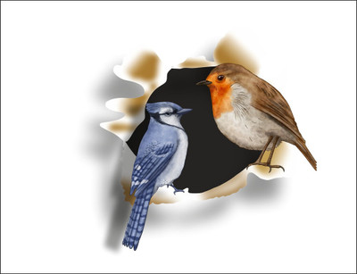 Sahaj Décor 83 cm Two birds wall sticker size (91x85 cm) Self Adhesive Sticker(Pack of 1)