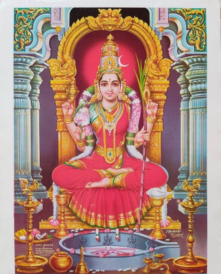 zocket 45 cm PL 178 Self Adhesive Sticker(Pack of 1)