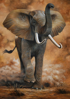 Dumdic 30 cm Elephant A4 Strong Self Adhesive Sticker(Pack of 1)