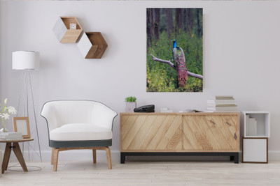 Tam tam 36 inch Birds Poster For Room Bedroom Home office Wall Decor (Size 24x36 inch) Self Adhesive Sticker(Pack of 1)